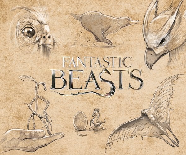 Скетчбук. Фантастические твари (твердый переплет, 96 стр., 240х200 мм)