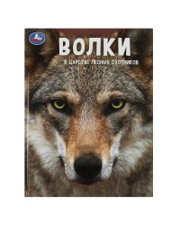 Волки. В царстве лесных охотников.(Энциклопедия А4 с развивающими заданиями)48 стр. Умка. в кор.15шт