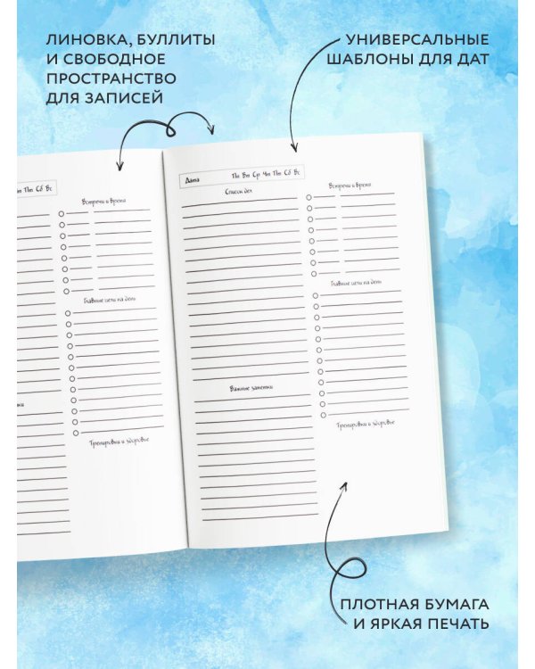 Дорогой дневник. Ежедневник недатированный (А5, 72 л.). Коллекция ежеденевников "Коты-туристы"