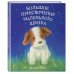 Холли Вебб. Цветные книги для детей Большое приключение маленького щенка (выпуск 1)