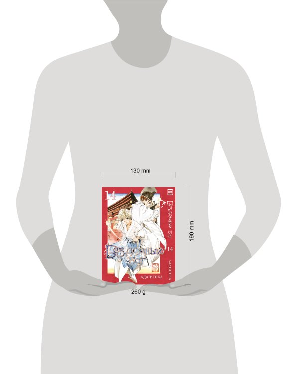 Бездомный бог т14/Noragami Vol 14