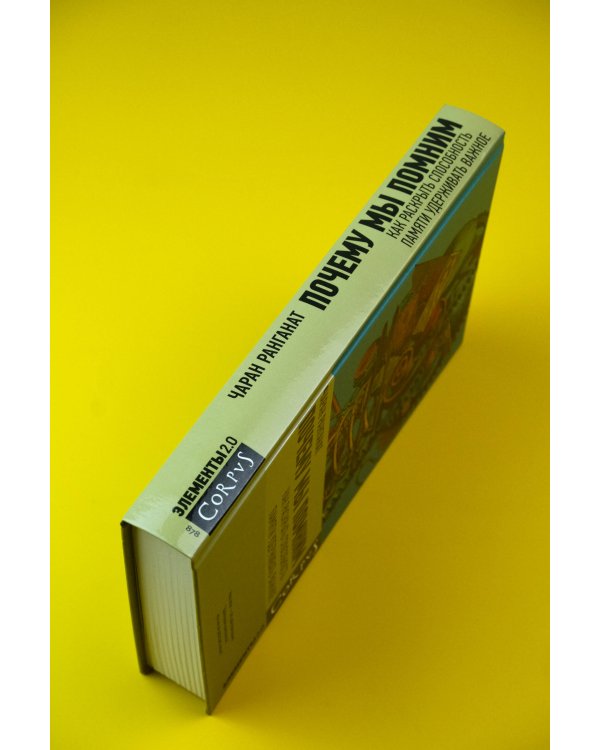 Почему мы помним