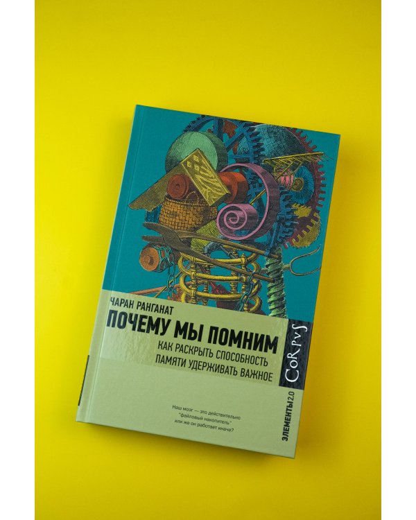 Почему мы помним