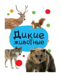 ЦК МИНИ. ДИКИЕ ЖИВОТНЫЕ