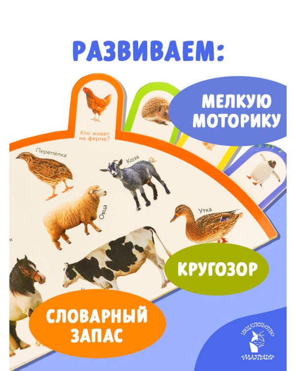 Животные