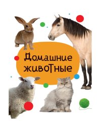 ЦК МИНИ. ДОМАШНИЕ ЖИВОТНЫЕ