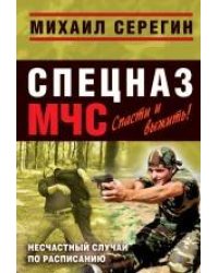 Несчастный случай по расписанию: роман