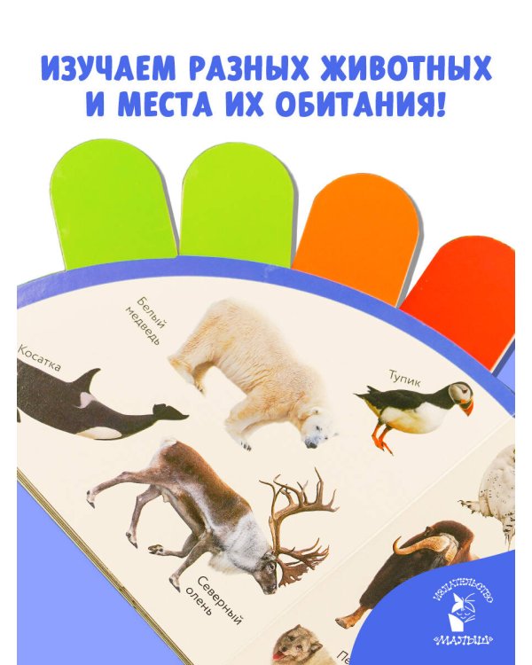 Животные