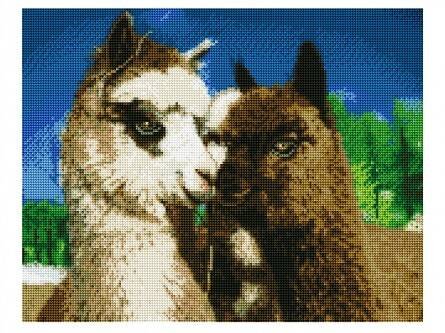 Алмаз. мозаика (класс.) 40х50 см, с подр., с полн. заполн. (25цв.) МИЛЫЕ ЛАМЫ (Арт. AC4066)