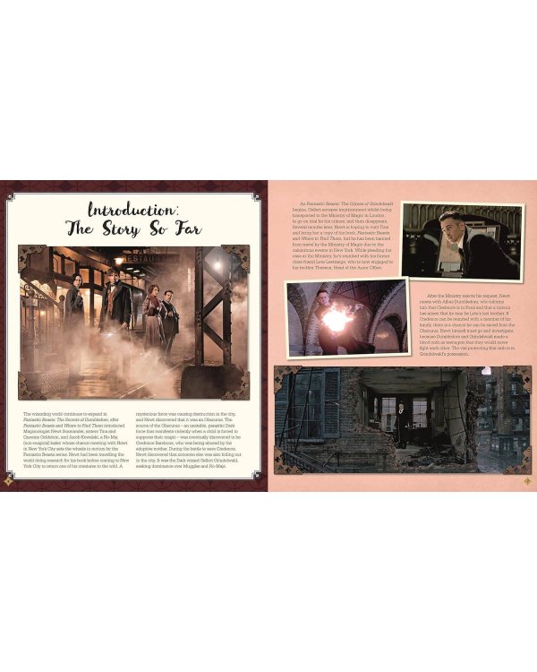 Fantastic Beasts – The Secrets of Dumbledore: Movie Magic/ Фантастические твари Тайны Дамблдора. Путеводитель по фильму/ Книги на английском языке