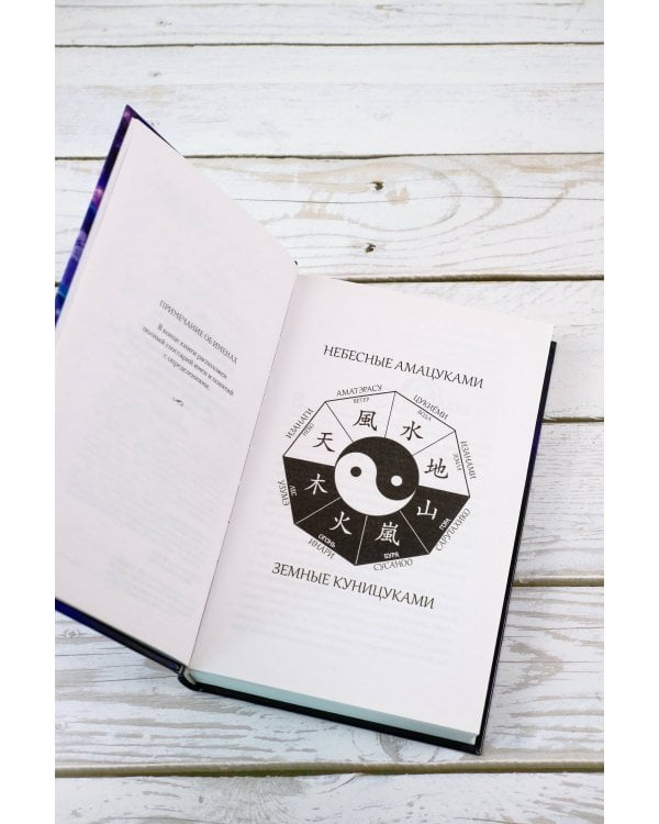 Темная буря