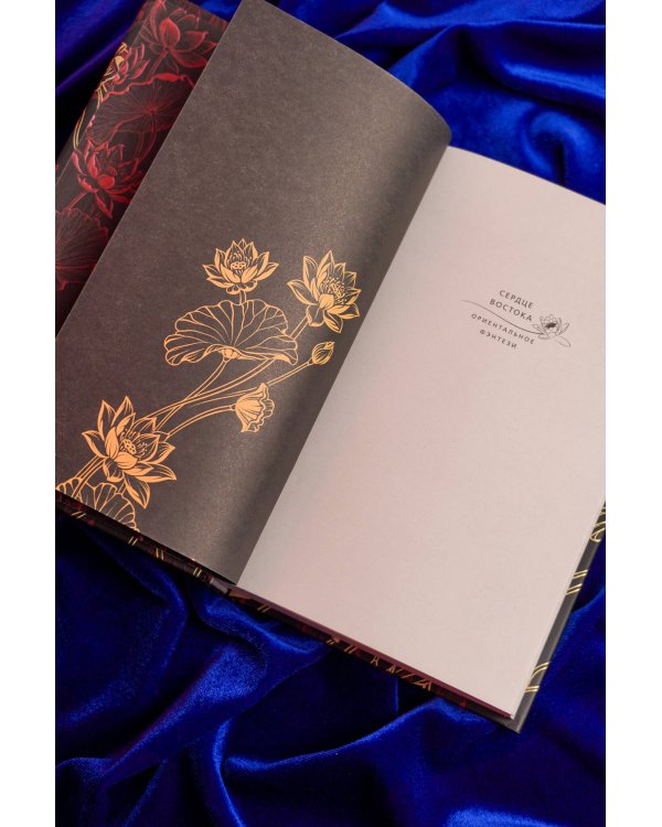 Дополнительное изображение книги «Кайкейи»