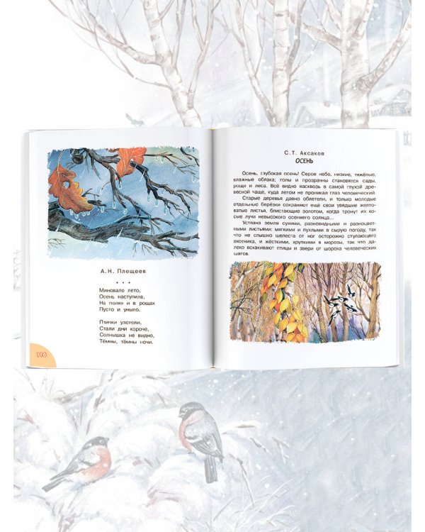 До свидания, детский сад!