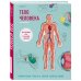 Тело человека. Интерактивный атлас по анатомии с вырубкой. Разбери свое тело на 6 систем
