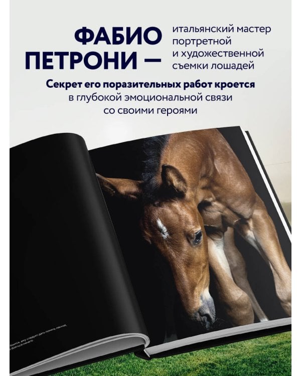 Лошади. Портреты, вдохновленные Рембрандтом