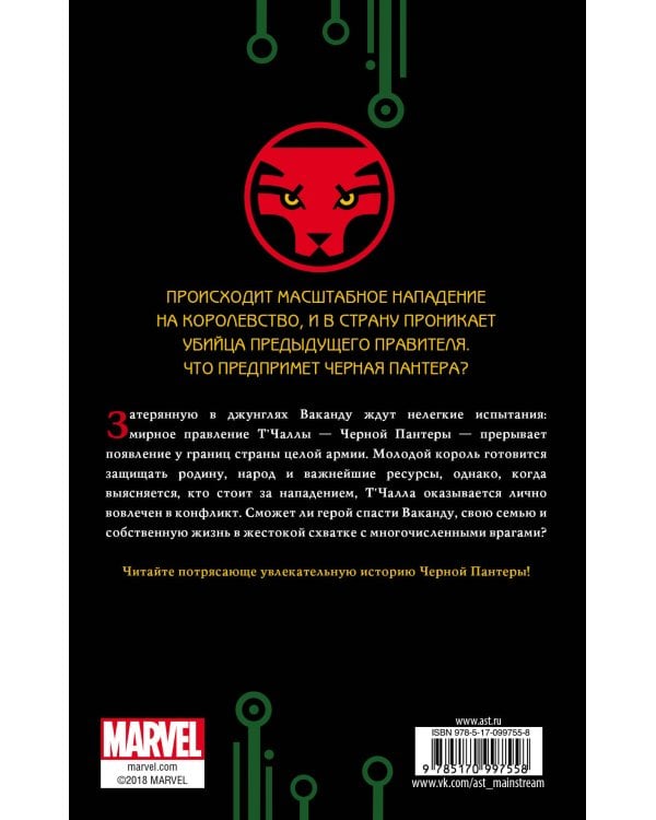 Черная Пантера: кто он?