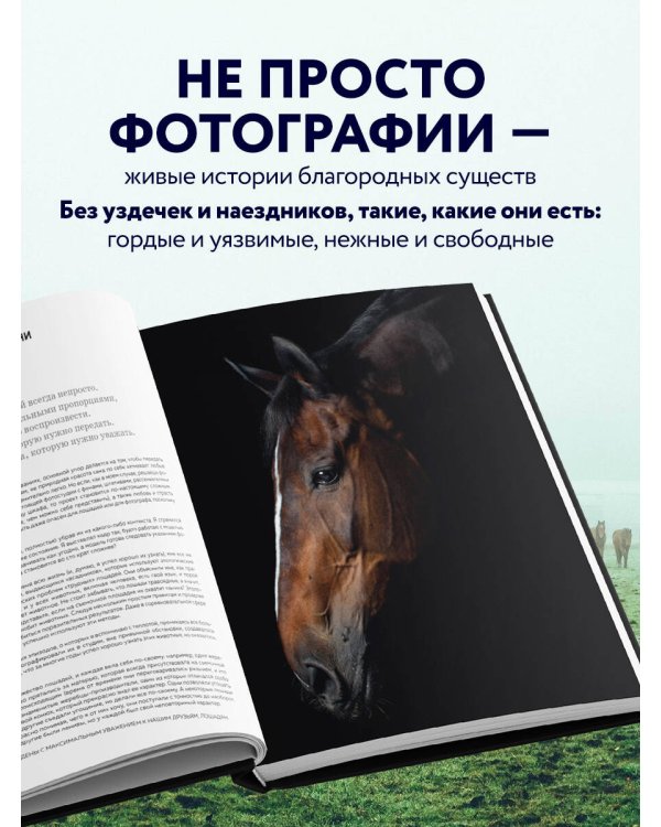 Лошади. Портреты, вдохновленные Рембрандтом