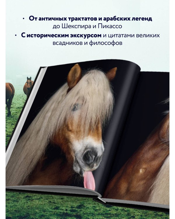 Лошади. Портреты, вдохновленные Рембрандтом