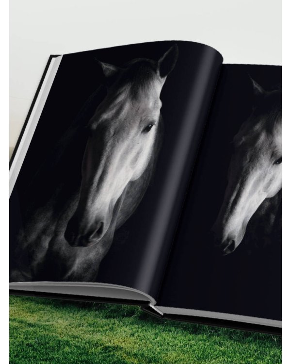 Лошади. Портреты, вдохновленные Рембрандтом