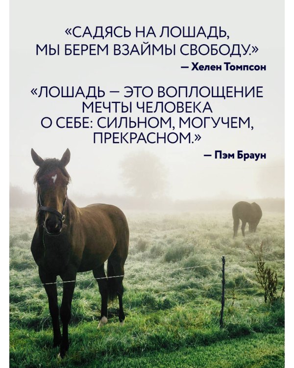 Лошади. Портреты, вдохновленные Рембрандтом