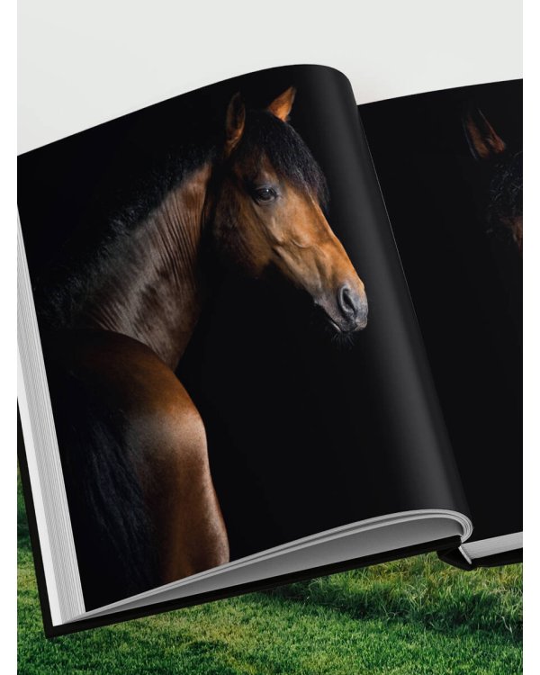 Лошади. Портреты, вдохновленные Рембрандтом