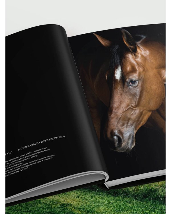 Лошади. Портреты, вдохновленные Рембрандтом