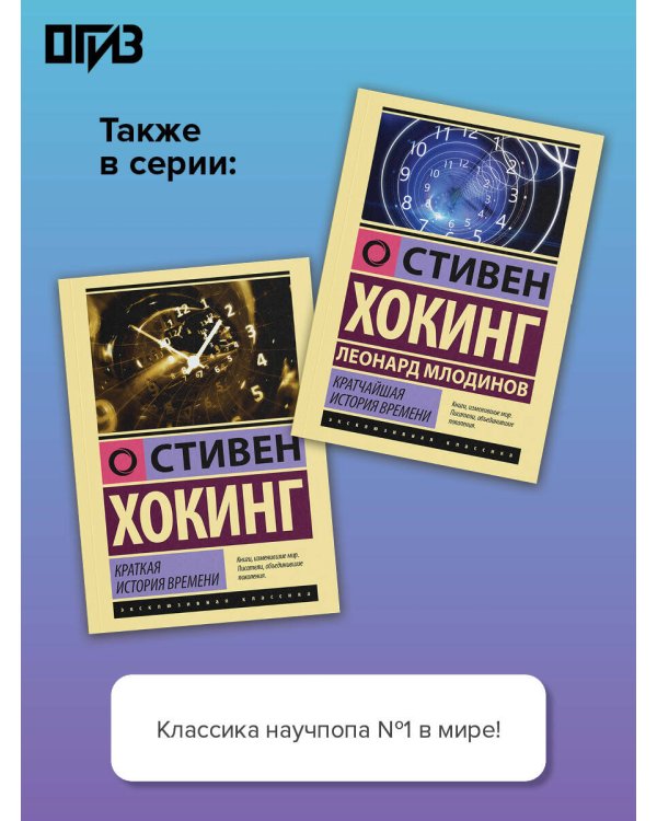 Теория Всего