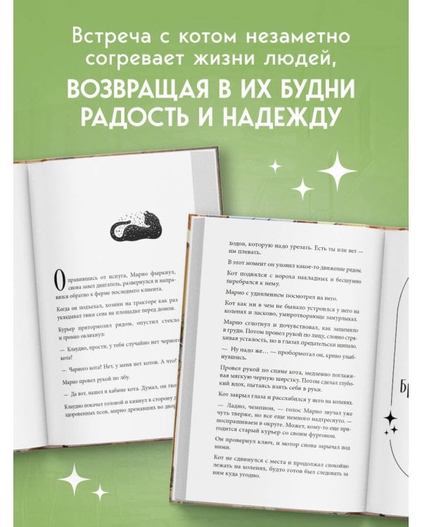 Кот с семью именами. Счастье приходит к тому, кто верит в чудеса