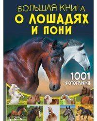 Большая книга о лошадях и пони. 1001 фотография
