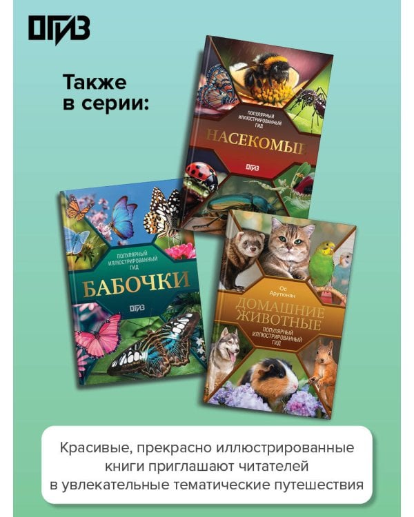 Птицы. Иллюстрированный гид