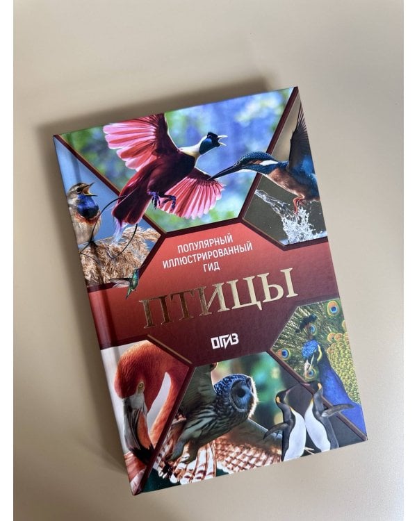 Птицы. Иллюстрированный гид