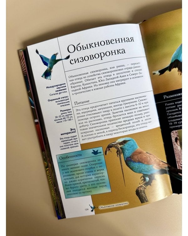 Птицы. Иллюстрированный гид