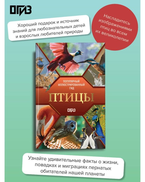 Птицы. Иллюстрированный гид
