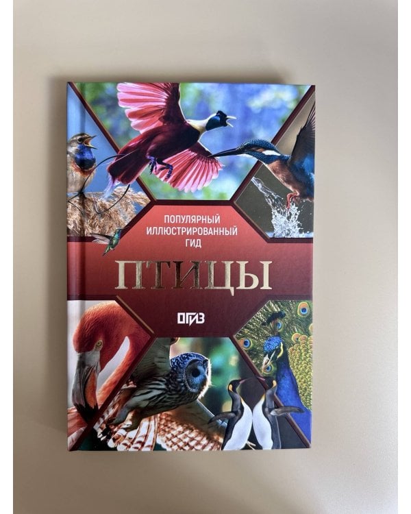 Птицы. Иллюстрированный гид