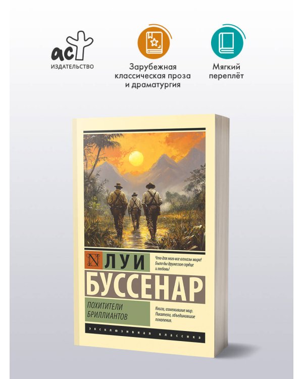 Дополнительное изображение книги «Похитители бриллиантов»