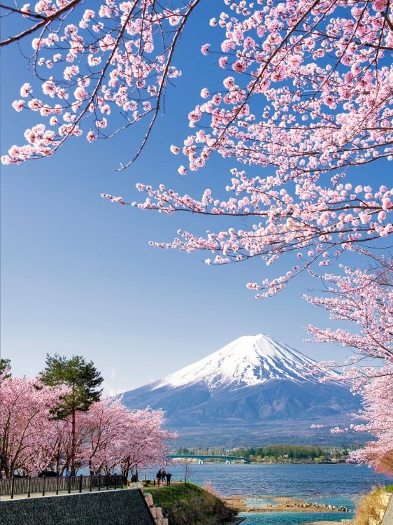 Подарочные издания. Туризм. Эксклюзив 1000 лучших мест планеты, которые нужно увидеть за свою жизнь. 4-е изд. испр. и доп. (стерео-варио сакура)