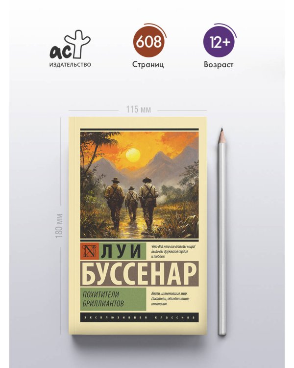 Дополнительное изображение книги «Похитители бриллиантов»