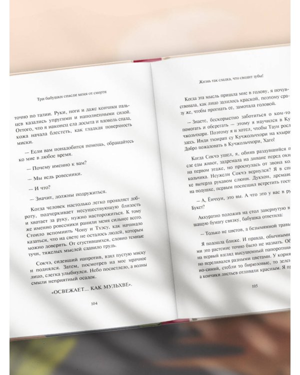 Три бабушки спасли меня от смерти. Самый ожидаемый хилинг-роман 2025 года
