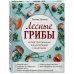 Грибы Лесные грибы. Иллюстрированная энциклопедия с рецептами