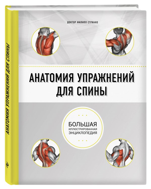 Анатомия упражнений для спины (2-е изд.)