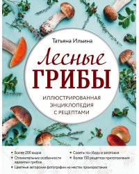 Лесные грибы. Иллюстрированная энциклопедия с рецептами