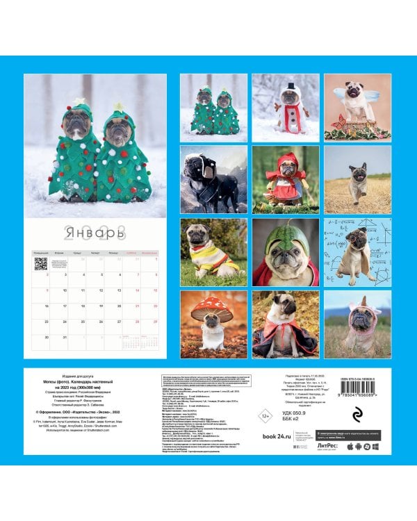 Мопсы (фото). Календарь настенный на 2023 год (300х300 мм)