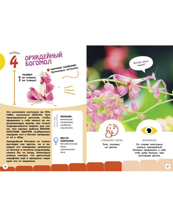 Самые необычные животные и места мира