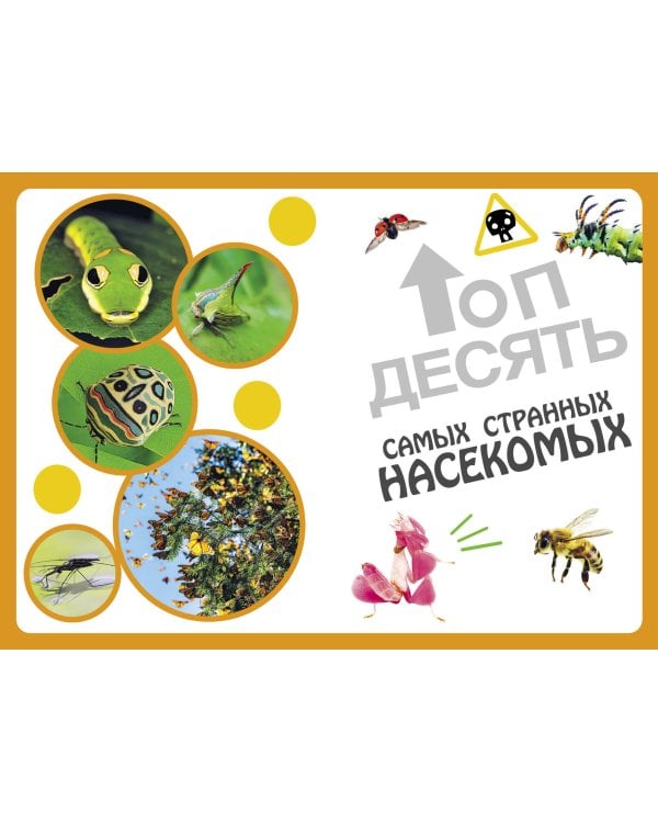 Самые необычные животные и места мира