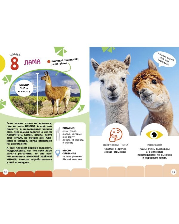 Самые необычные животные и места мира