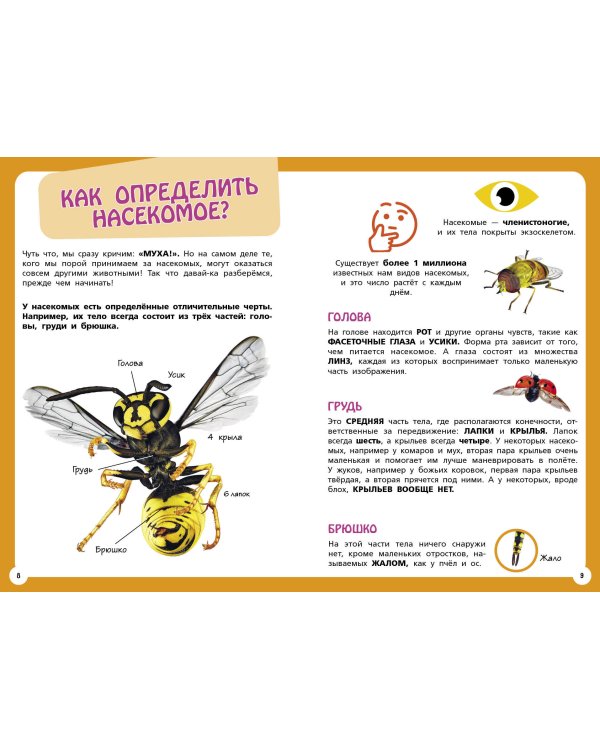 Самые необычные животные и места мира