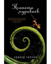 Планета муравьёв