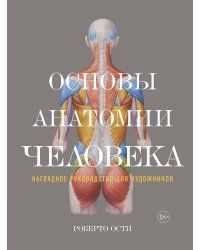 Основы анатомии человека: Наглядное руководство для художников