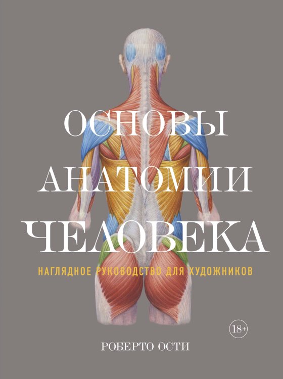 Обложка книги «Основы анатомии человека: Наглядное руководство для художников» — Роберто Ости, ISBN 9785389128613