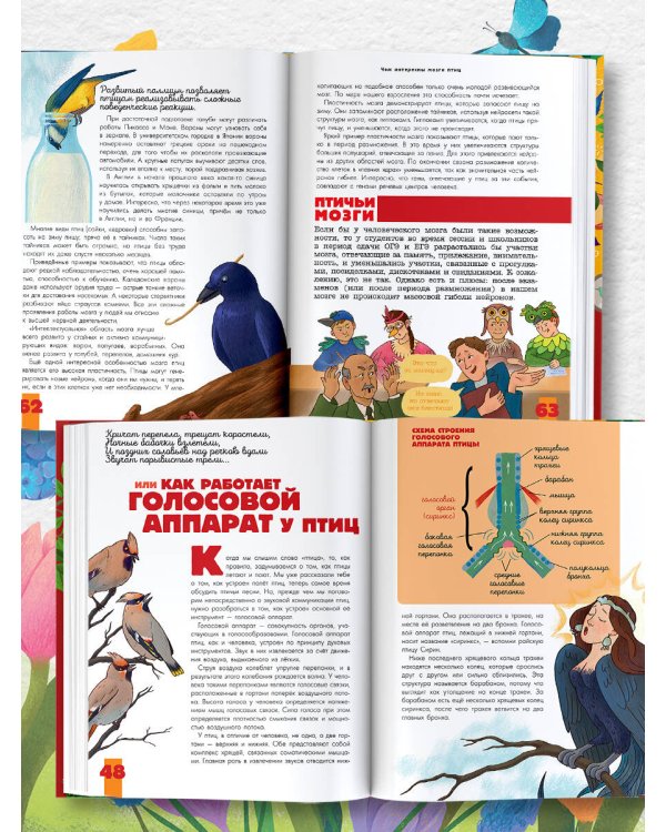 Птицы. Биология. Физиология